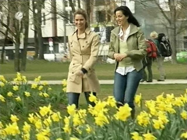 vb_allestester_080426_003.jpg