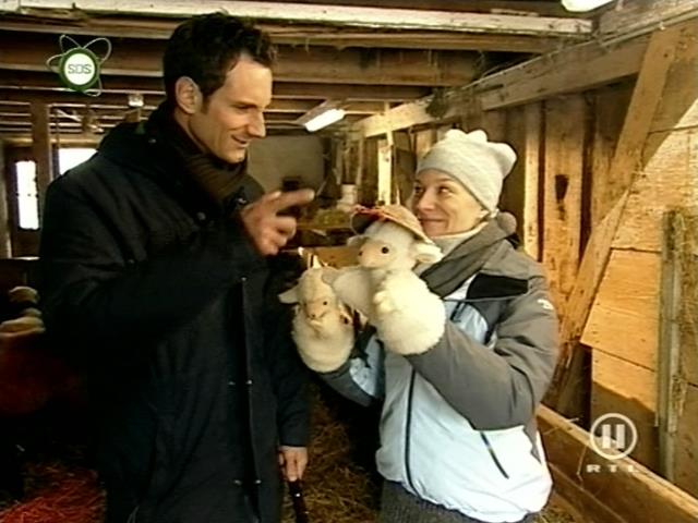 jw_schaudichschlau_080203_013.jpg