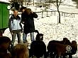 jw_schaudichschlau_080203_106.jpg