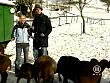 jw_schaudichschlau_080203_107.jpg