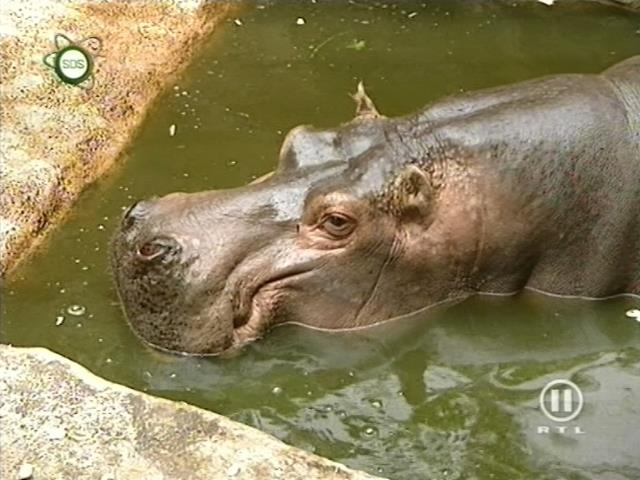 tiere_schaudichschlau_080323_064.jpg
