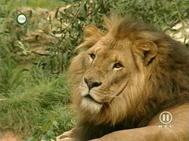 tiere_schaudichschlau_080323_069.jpg