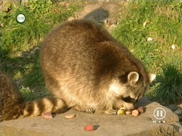 tiere_schaudichschlau_080323_071.jpg