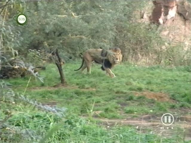tiere_schaudichschlau_080323_081.jpg