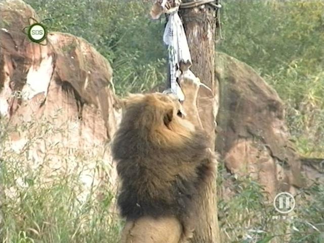 tiere_schaudichschlau_080323_083.jpg