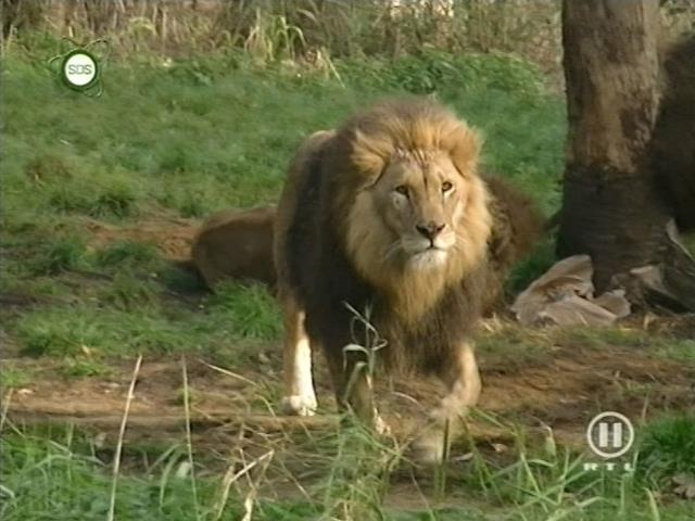 tiere_schaudichschlau_080323_085.jpg