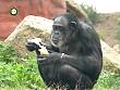tiere_schaudichschlau_080323_065.jpg
