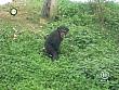 tiere_schaudichschlau_080323_066.jpg