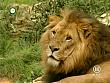 tiere_schaudichschlau_080323_069.jpg