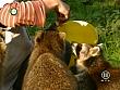 tiere_schaudichschlau_080323_072.jpg