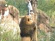 tiere_schaudichschlau_080323_083.jpg