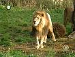 tiere_schaudichschlau_080323_084.jpg