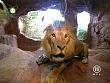 tiere_schaudichschlau_080323_089.jpg