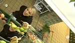jw_schaudichschlau_100214_021.jpg