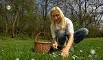 jw_schaudichschlau_100905_005.jpg